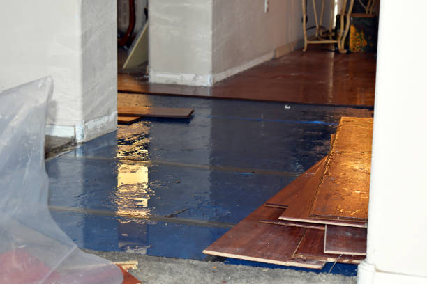 Professional Basement Flood Cleanup technician working in Orient, WA